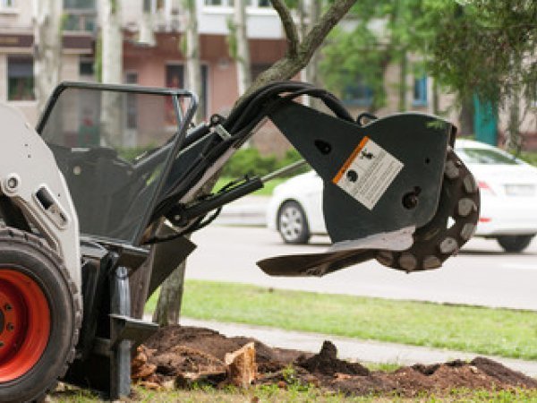 Stump Grinding