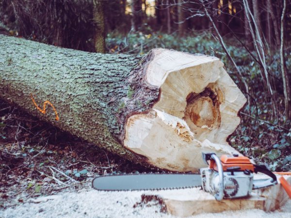 Land Clearing